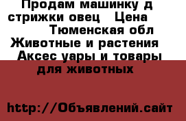 Продам машинку д/ стрижки овец › Цена ­ 10 000 - Тюменская обл. Животные и растения » Аксесcуары и товары для животных   
